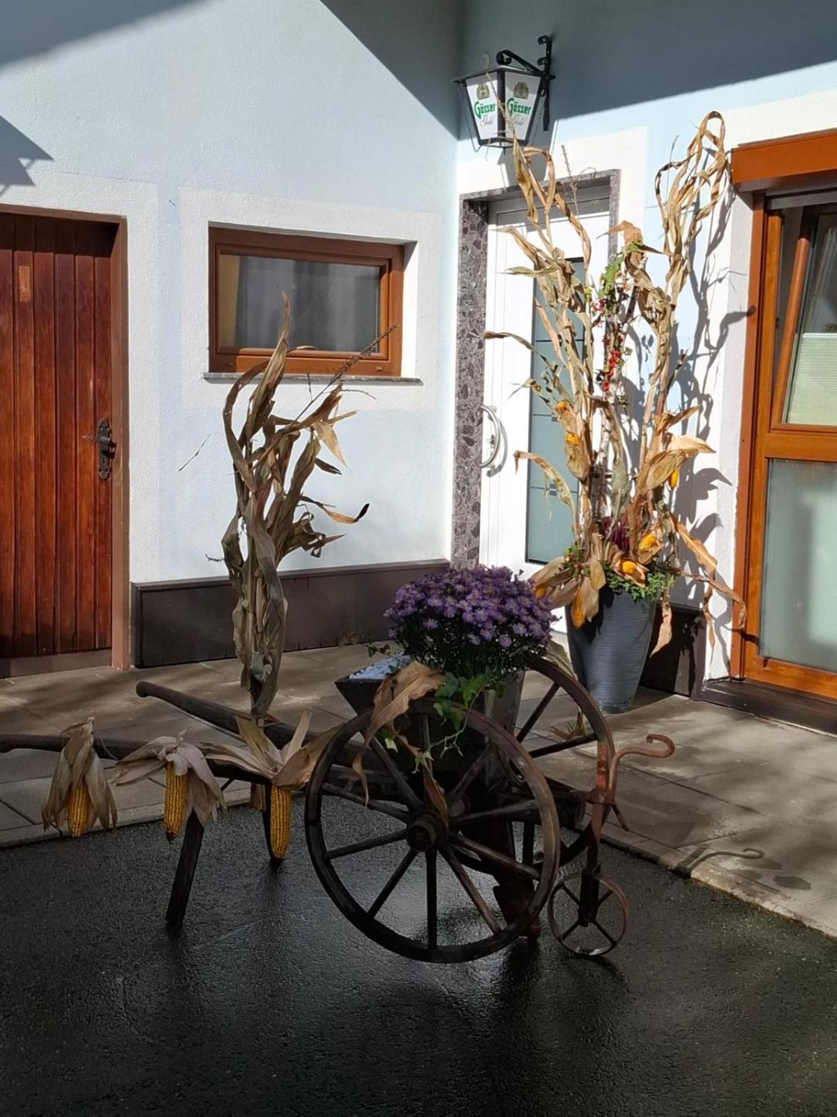 Ferienwohnung Heiabett Wies Экстерьер фото